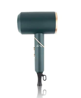 The Shine Jet Negative Ion Hair Dryer – Fast Drying, Frizz-Free, Lightweight Blow Dryer